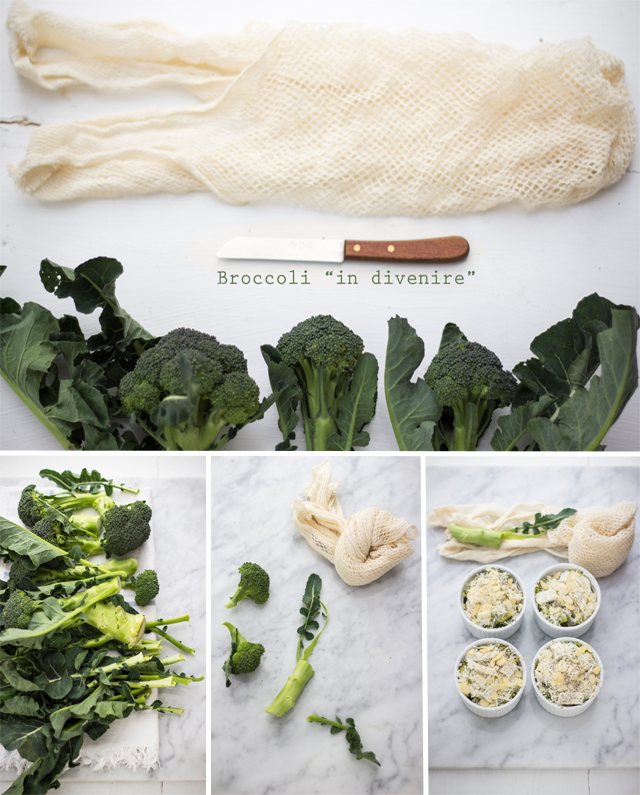 Gratin di broccoli "in divenire"