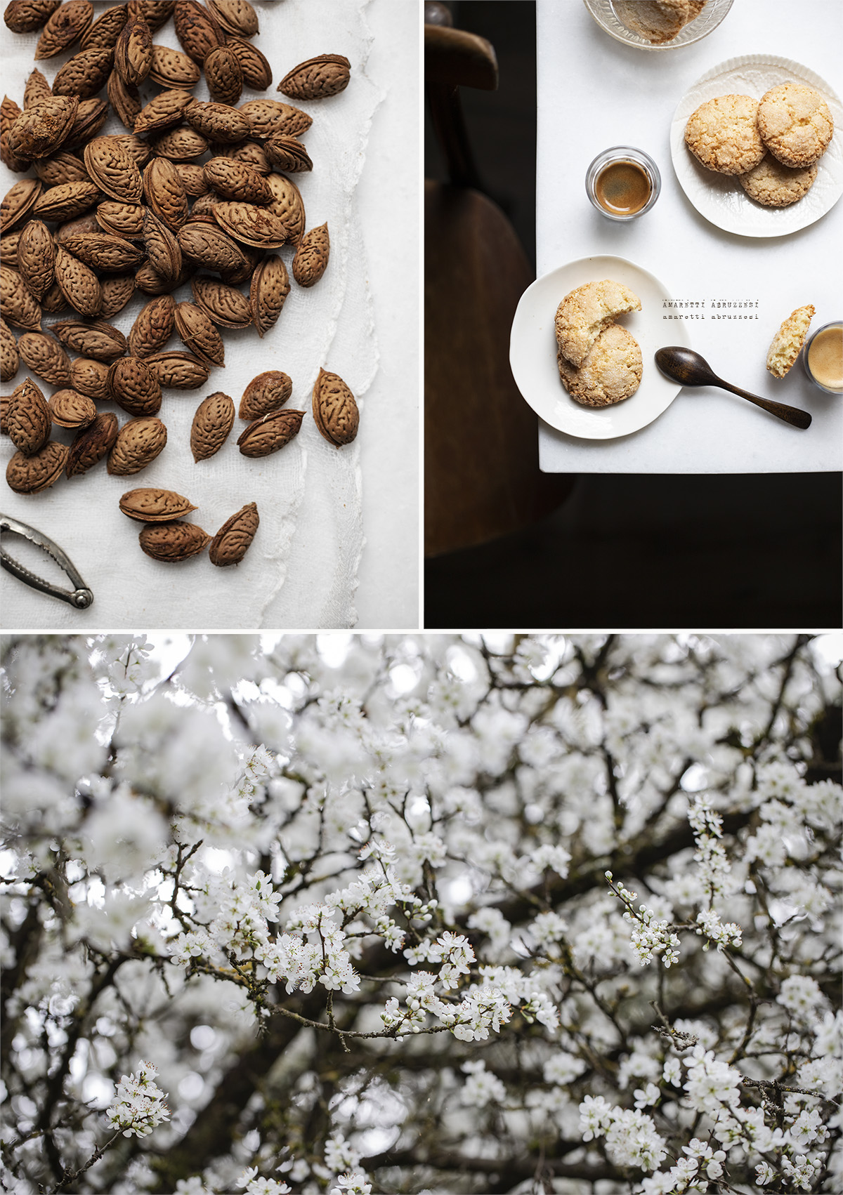 amaretti abruzzesi