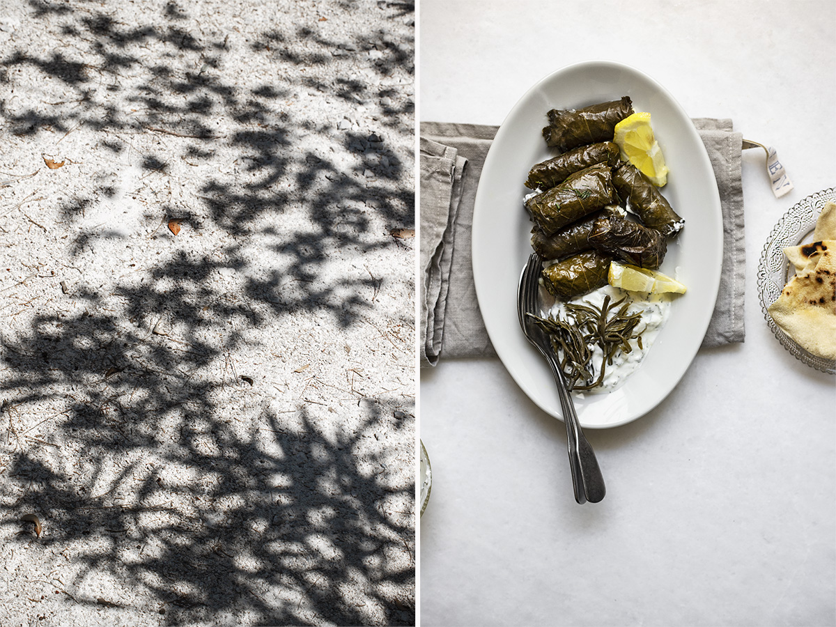 involtini di riso